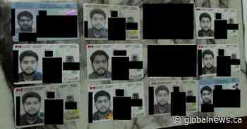 ‘Piggy banks for them:’ Police crack down on fake Ontario bank accounts