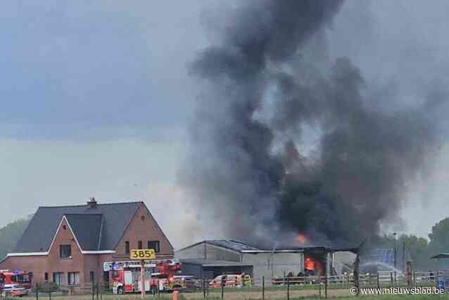 Brandweer bestrijdt uitslaande brand in schuur: gelukkig geen mensen of dieren in de buurt