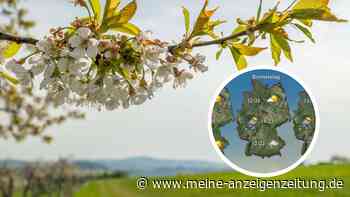 Wetter im Mai bringt laut Meteorologe „Voll-Sommer“ – doch in einigen Regionen steigt die Unwetter-Gefahr