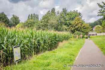 Nieuwe woningen in overstromingsgevoelig gebied krijgen groen licht: “Het lijkt alsof de stad dit project koste wat kost wil doorduwen”