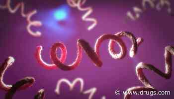 Doctors Seeing More Atypical, Severe Symptoms in Patients With Syphilis