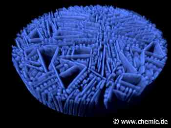 Gefriergussverfahren – Eine Anleitung für komplex strukturierte Materialien