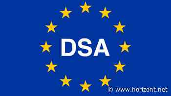 Digital Services Act und Digitale-Dienste-Gesetz: Scharfes Schwert oder stumpfe Klinge?