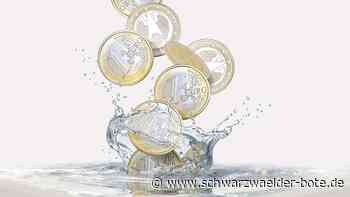 Buchenwasser-Versorgung: In Wildberg ist der Wasserverbrauch erneut gesunken