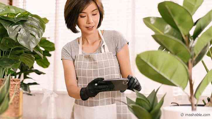 This Mother's Day, gift Mom a plant identifier app for $16.97