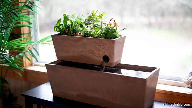 This $128 aquaponics garden arrives in time for Mother’s Day