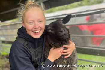 Teenager’s Emily’s Mini Farm in Oswaldtwistle is flourishing
