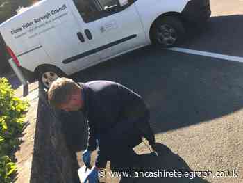 Ribble Valley Council advice on pest control service