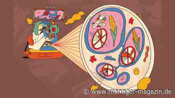 Aktien kaufen: Wie Anleger von Konzern-Abspaltungen profitieren können