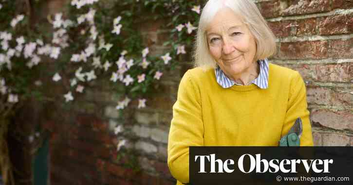 ‘No one’s being honest about it’: how NHS crisis forces patients to go private