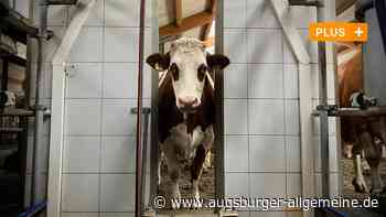 "Wir sind die letzte Generation": Der leise Abschied der schwäbischen Bauern