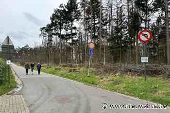 Stad laat verkaveling percelen in Mereldreef-Bornstraat toe