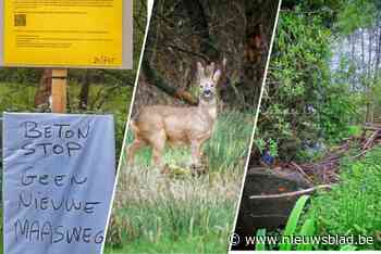 Beverdam vormt volgens gemeente geen obstakel voor Nieuwe Maasweg