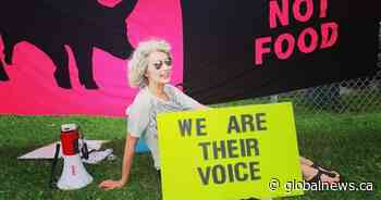 Animal activists thrilled after parts of Ontario agriculture law unconstitutional