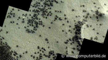 ESA-Weltraumsonde: Zeigt Bild Spinnen auf dem Mars?