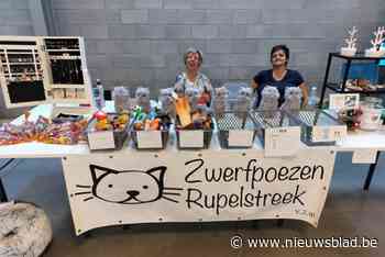Happyhond maakt met huisdierenbeurs en wandeling Zwerfpoezen Rupelstreek blij