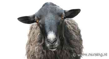 Verpleegkundigen die zich gepest voelen: opgelet. Er is iets tegen te doen