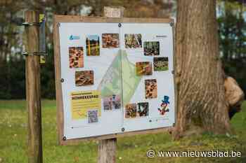 Kinderen bepalen mee wat zij op Nonnekespad willen beleven in domein Franciscanessen