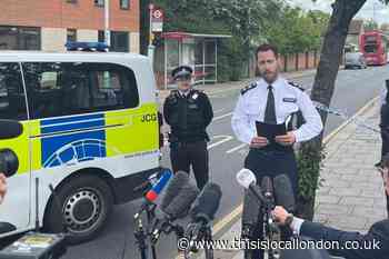 Thurlow Gardens Hainault sword attacks: Police need surgery