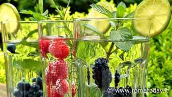Acque aromatizzate per affrontare l'arrivo del caldo: come prepararle
