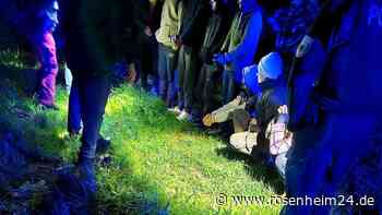 Migrantengruppe irrt durch Region: Mehrere Jugendliche in Waldstück bei Prien aufgefunden