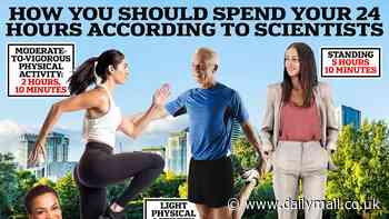 How long you should spend sitting, sleeping, standing and exercising each day REVEALED by scientists