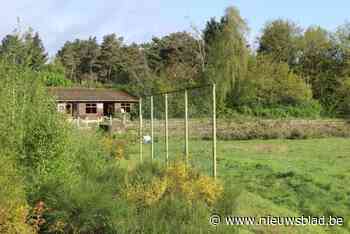 LIVE. Maasmechelse gemeenteraad met 28 punten