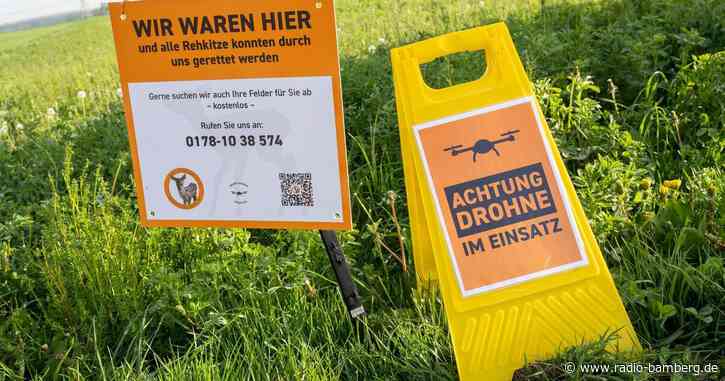 Drohnen und Wärmebildkameras sollen Rehkitze schützen