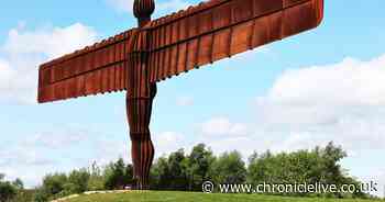 North East local elections 2024: A complete guide to the region's polling stations this May