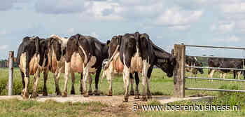 Ook Arla voorziet melkprijs van een plusje