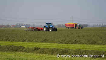 Grasoogst trekt aandacht van veehouders