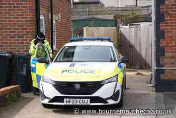 Arrests made after woman is 'stabbed' in West Howe