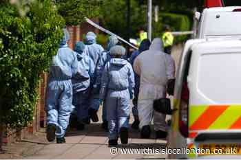 Thurlow Gardens Hainault stabbings - Everything we know so far