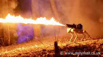 Why AI is facing its 'Oppenheimer moment' - as nations are now using 'slaughter bots' in battlefields