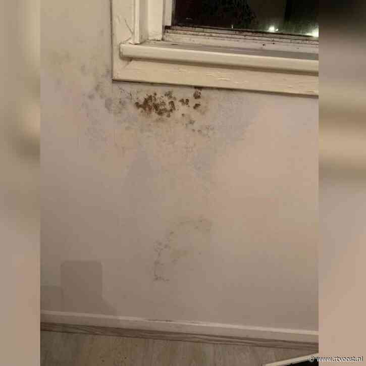 Schimmelproblemen in Enschede: Woonkamers en slaapkamers bedekt met schimmelplekken van 1 á 2 meter