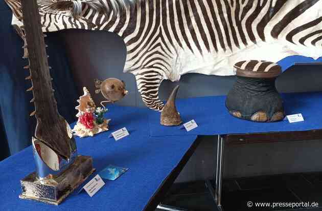 HZA-RO: Hauptzollamt Rosenheim weckt Interesse für den ZOLL / Zöllnerinnen und Zöllner öffneten die Türen und gaben Einblick in die verschiedensten Facetten ihres Berufs