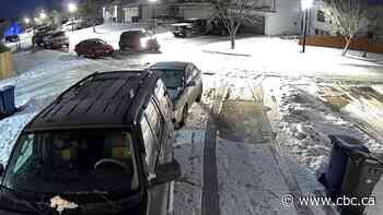 Edmonton police say 3 drive-by shootings connected to extortion of South Asian businesses