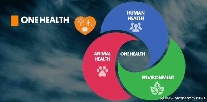 Flashback: When The UN Launched ‘SDG Publishers Compact’ In October 2020