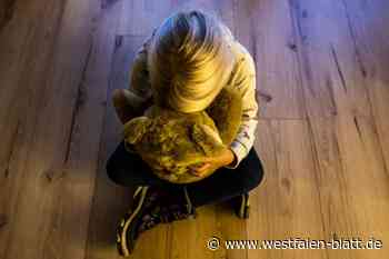 Kindesmissbrauch: Prozess gegen "Onkel" aus Steinheim fortgesetzt