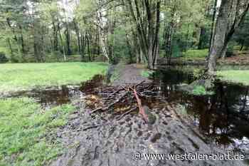 Gemeinde Hövelhof warnt: Wanderwege in der Moosheide sind nicht begehbar