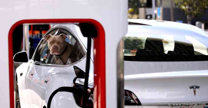 Tesla layoffs hit Supercharger team just as it’s poised to take over EV charging