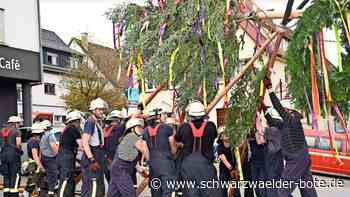 Maibäume in Haiterbach: In der Kernstadt ist es am anstrengendsten