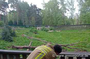 FW Gangelt: Kind in Zwangslage