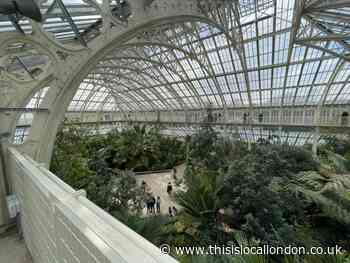 Young Reporter: Spring at the Kew Gardens. - Drew Kotz