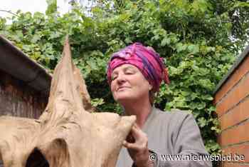 Kunstweekend ‘Atelier in Beeld’ op 4 en 5 mei: 7 Riemstse kunstenaars zetten hun deuren open