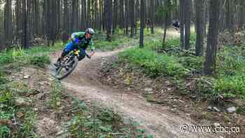 Company to host open house on contentious logging plans near Bragg Creek