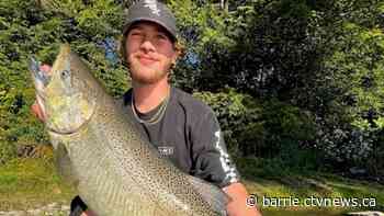 Police seek public's assistance in death investigation