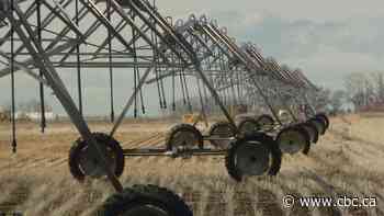 Upgrades coming to Alberta's irrigation infrastructure as concerns about drought persist