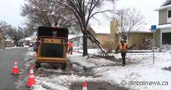 Heavy snowfall warning issued as southern Alberta digs out from earlier storm
