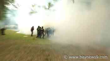 Law enforcement arrest 10 pro-Palestinian protesters at USF